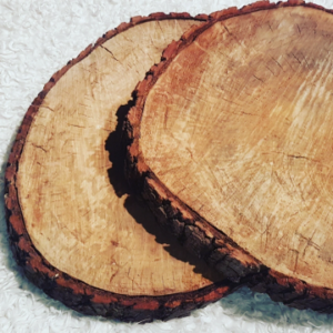 Raw Wood Slices, Large