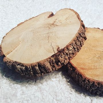 Raw Wood Slices, Small