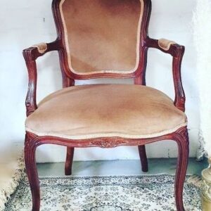 Wood Carved Frame, Tan Velvet Carvers Chair